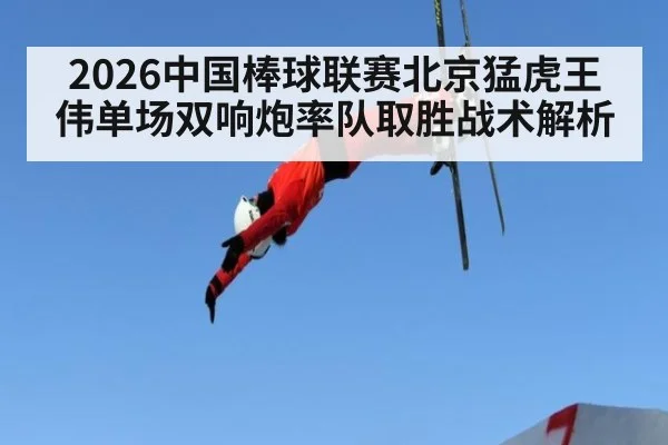 2026中国棒球联赛北京猛虎王伟单场双响炮率队取胜战术解析